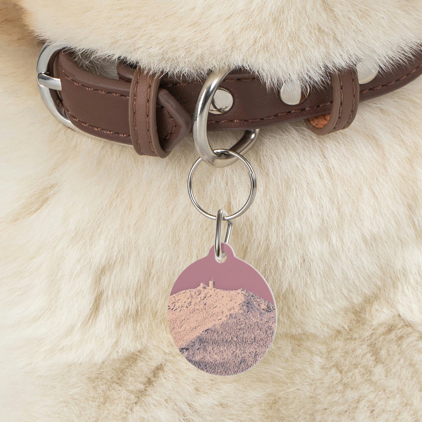 Pet Tag - Pretty in Pink, Whiteface