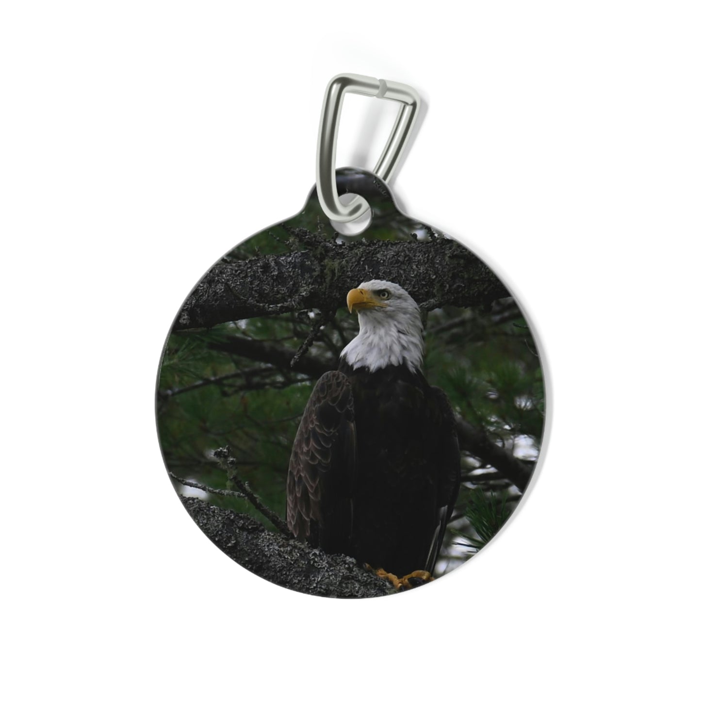 Pet Tag - American Eagle