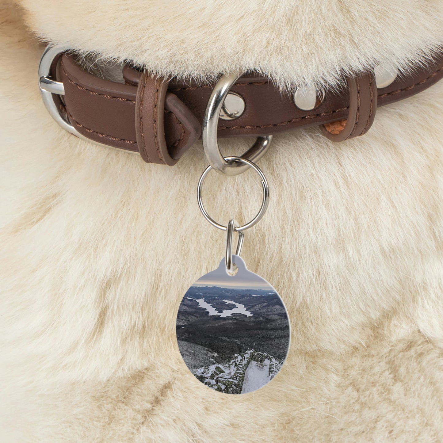 Pet Tag - Lake Placid View, Whiteface
