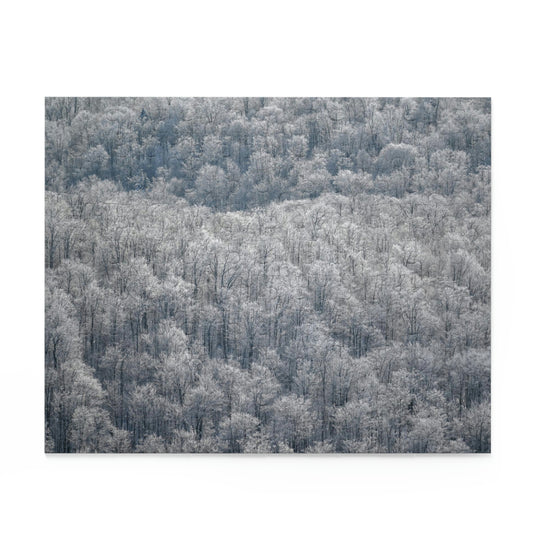 Puzzle - Frozen Trees