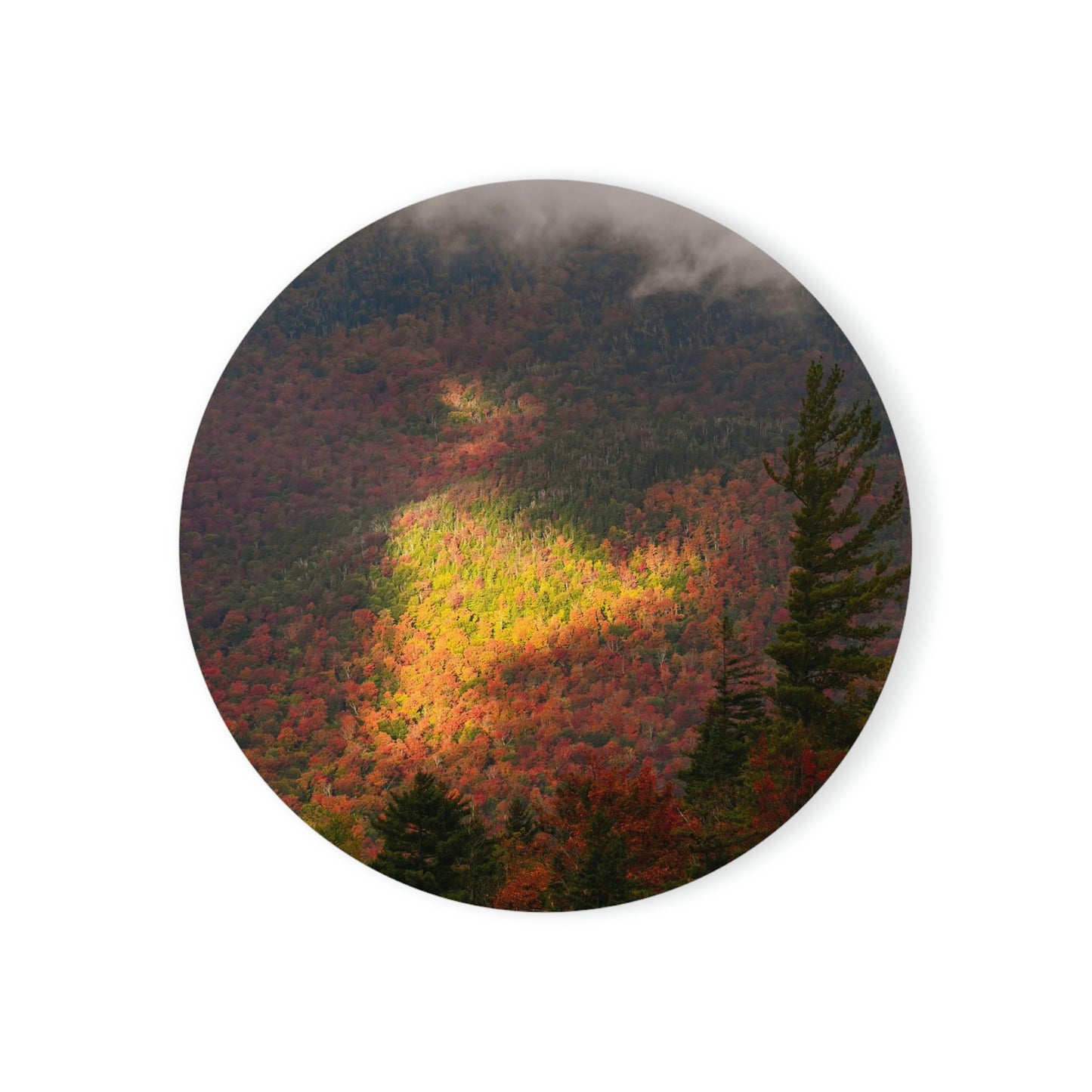 Cork Back Coaster - Adirondack Fall Fog & Foliage