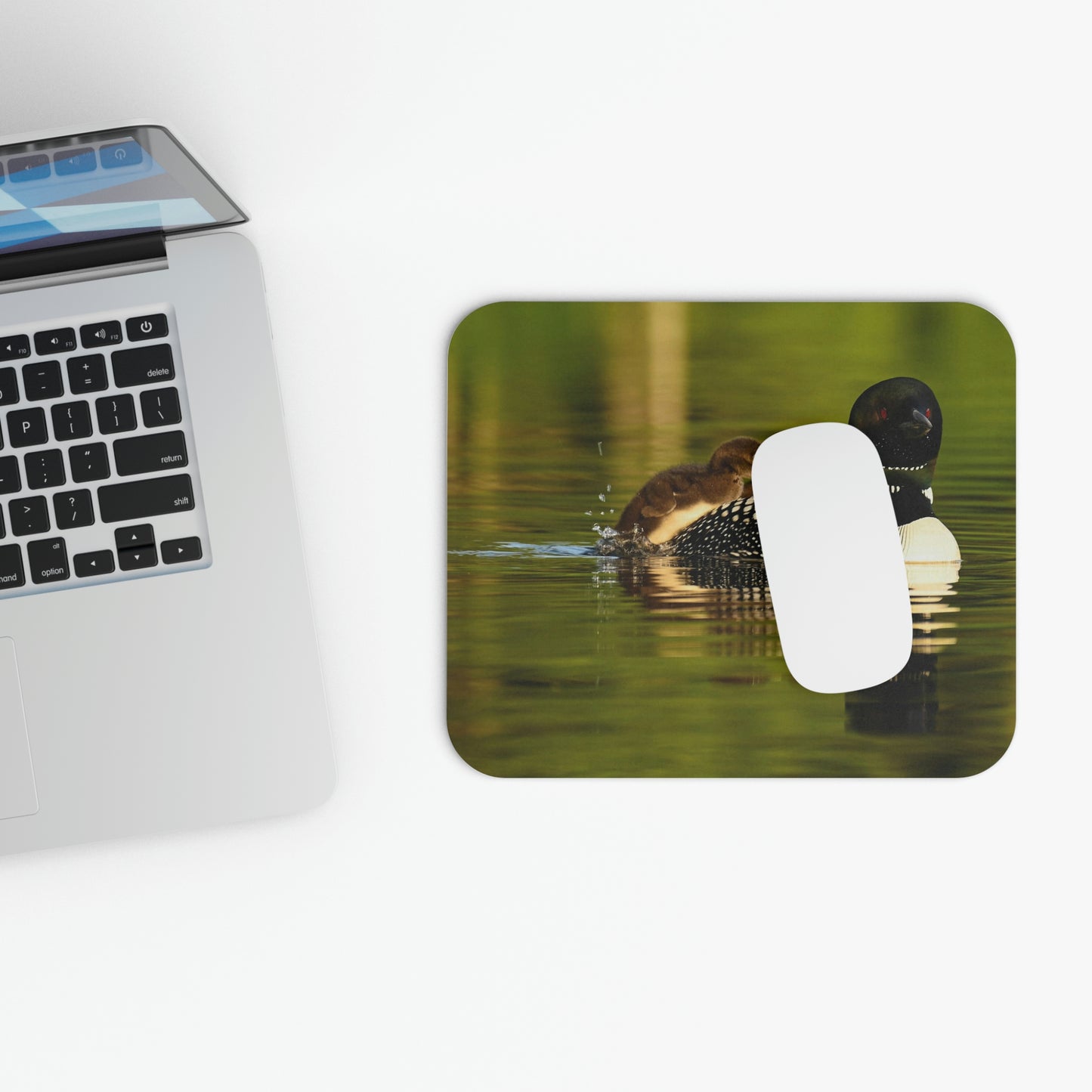Loon & Babies Mouse Pad