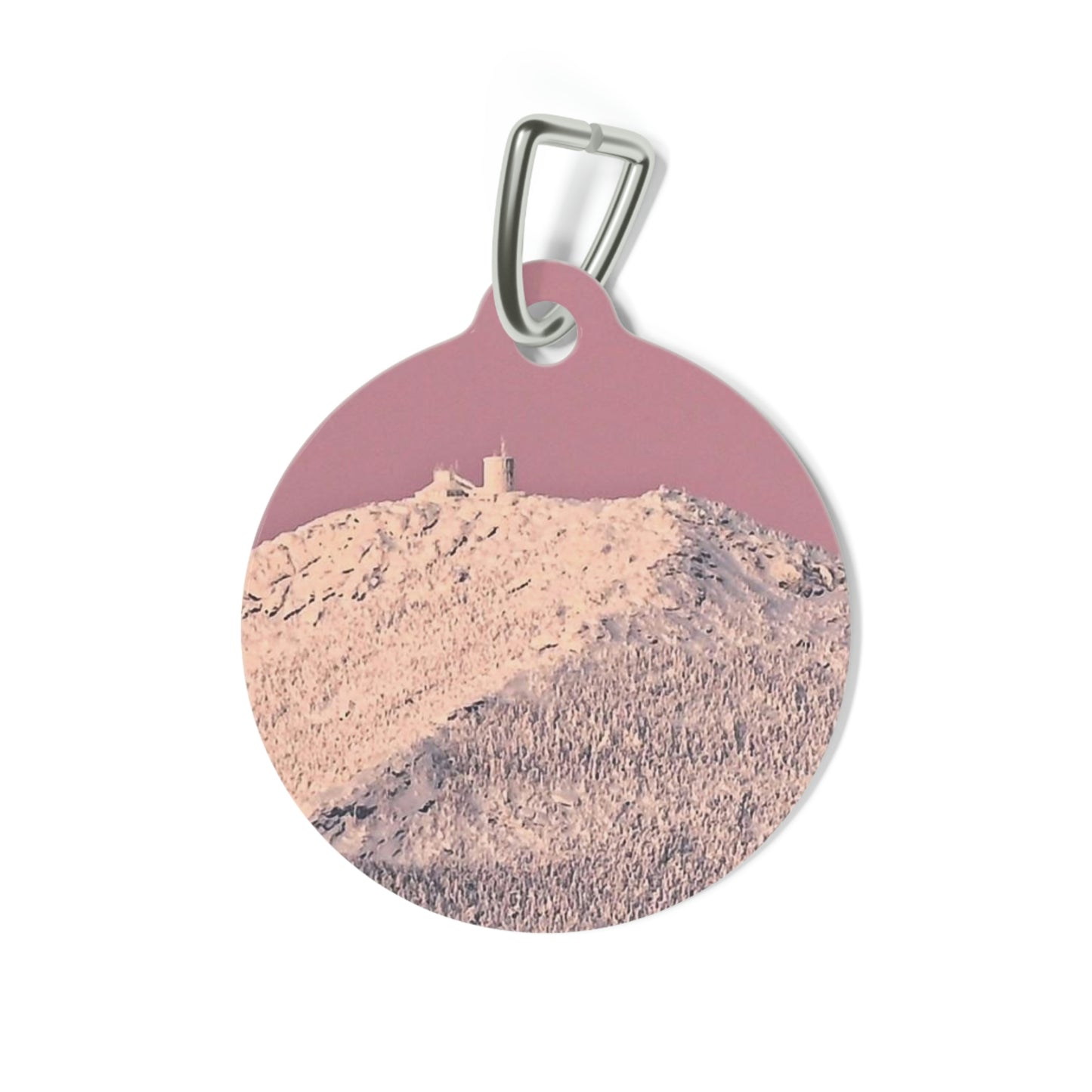 Pet Tag - Pretty in Pink, Whiteface