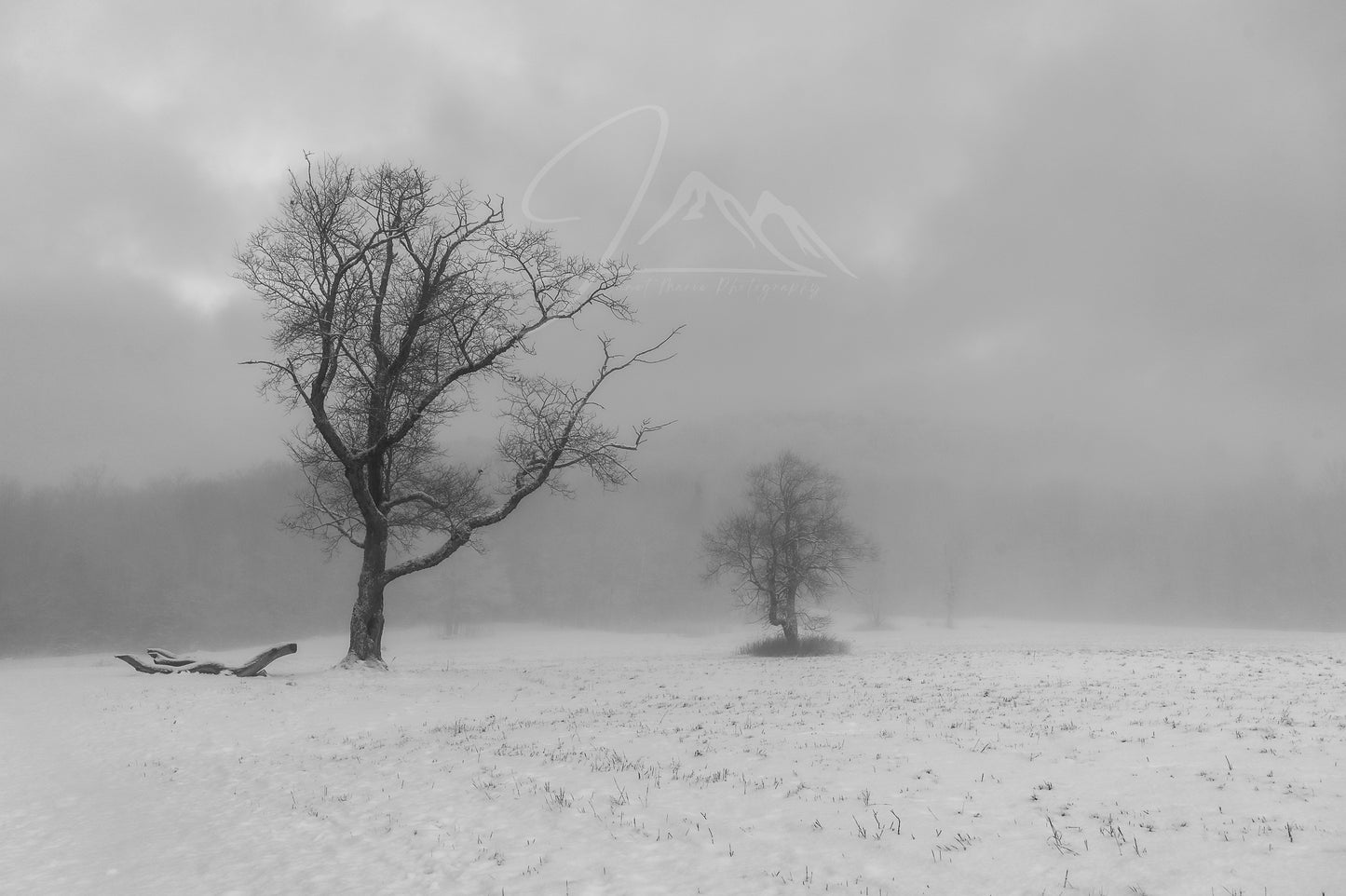print of December Field of Fog, Adirondack Mountains 