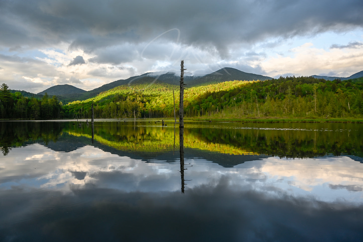 Adirondack Backcountry Reflections on a remote pond