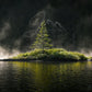print of a Misty Morning tree on an adirondack pond