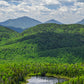 print of a lost pond Adirondack Mountains 