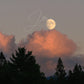 Print of a Waxing Harvest Moonrise