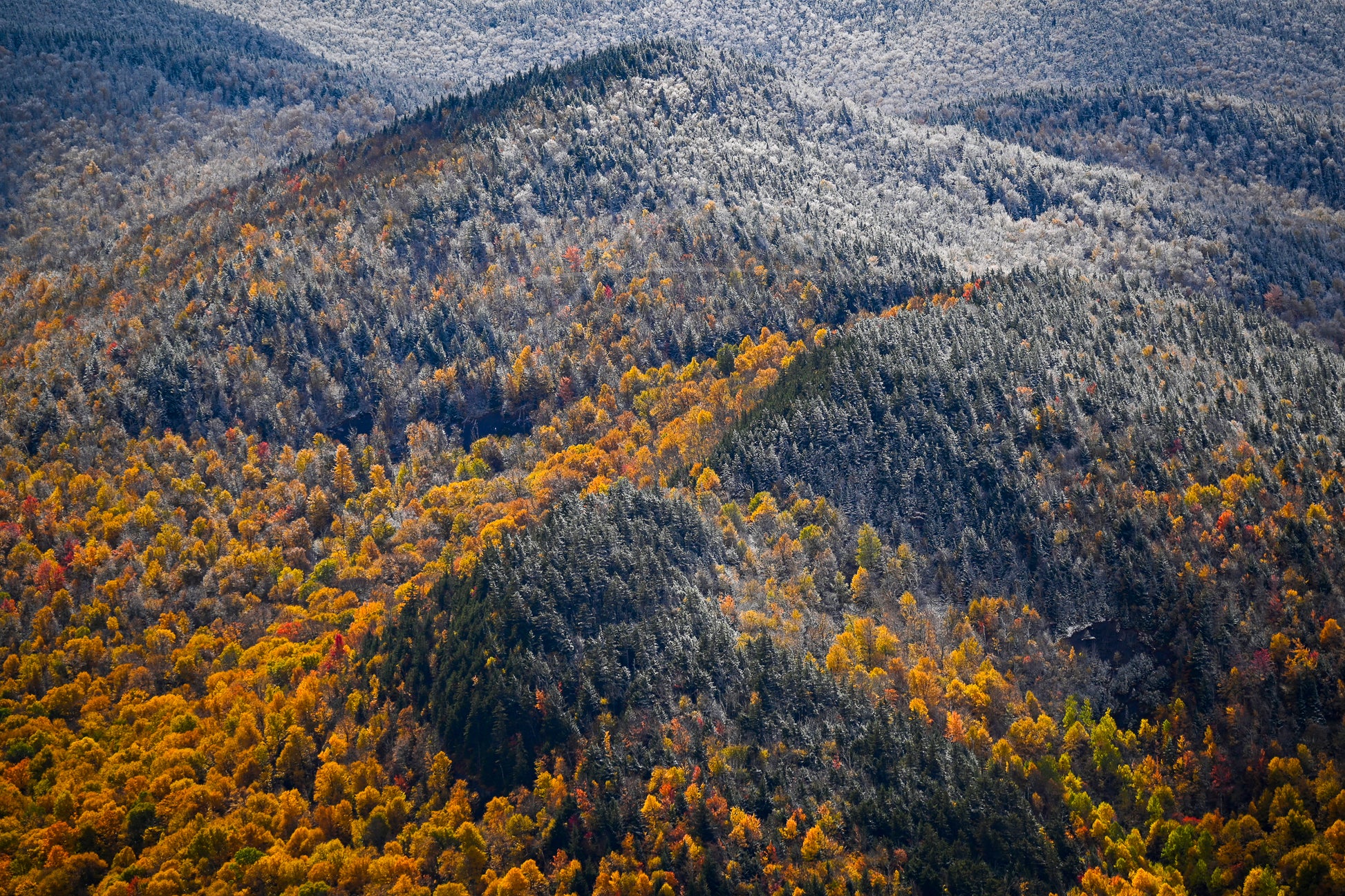 print of snow and foliage Adirondack Mountains 