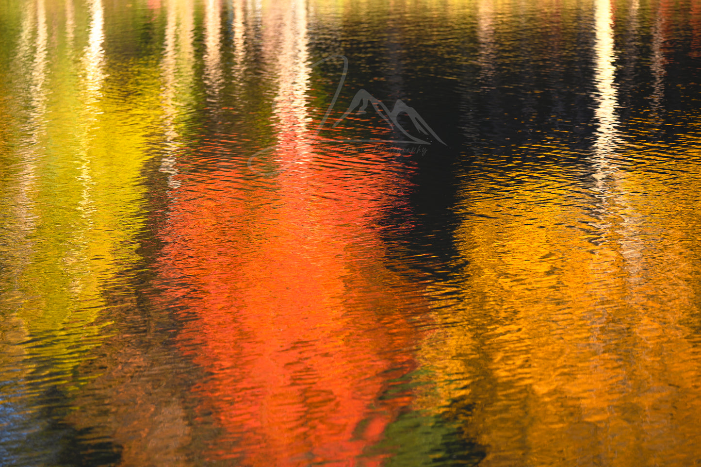 print of Reflections of Fall Trees