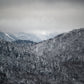 Winter Gray - Adirondacks 