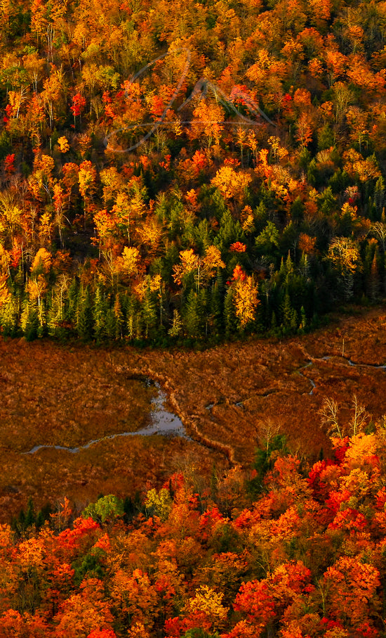 print of a river meandering through a meadow