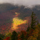 Autumn fog and sun in the adirondack mountains