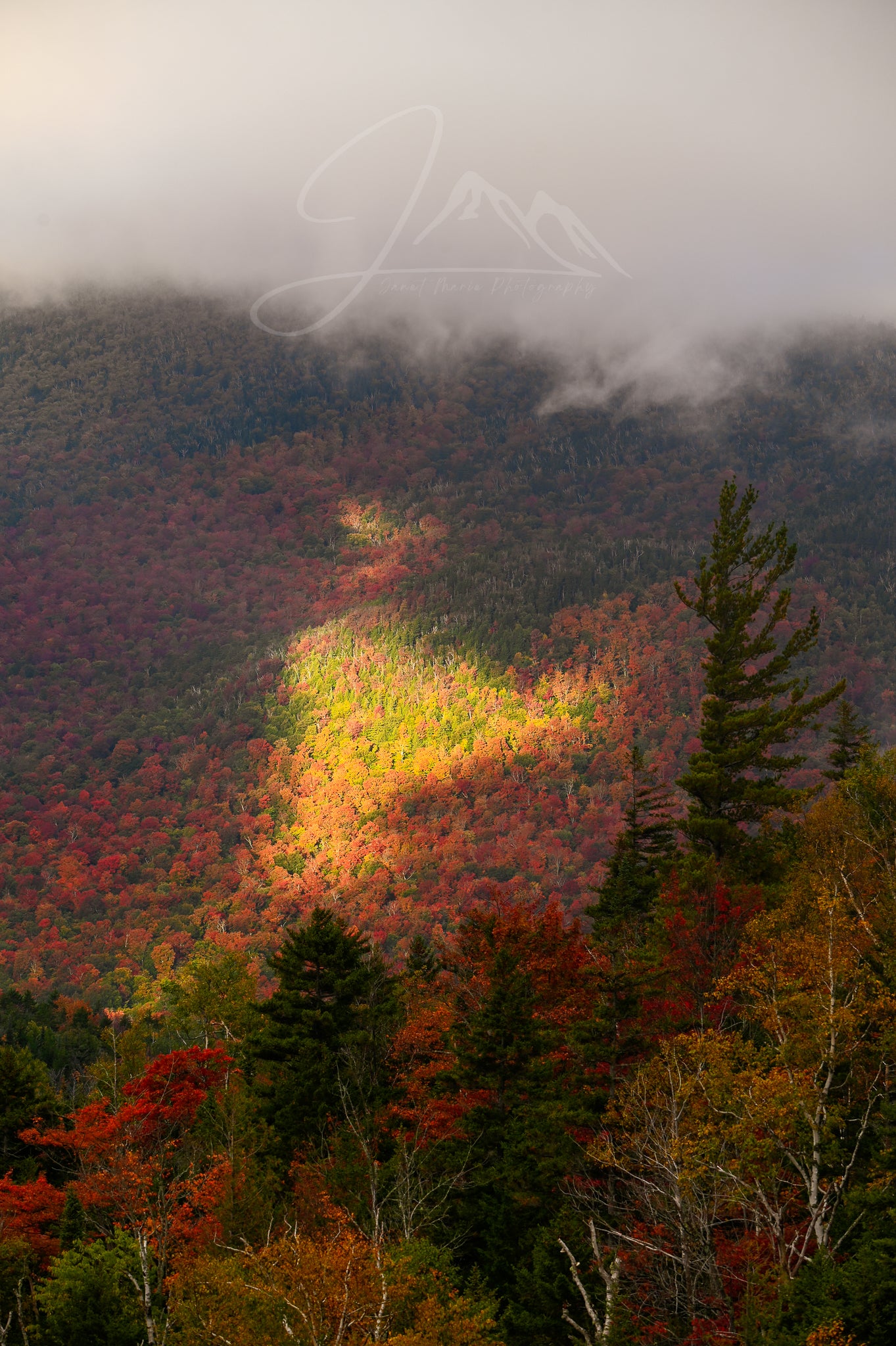 Autumn fog and sun in the adirondack mountains