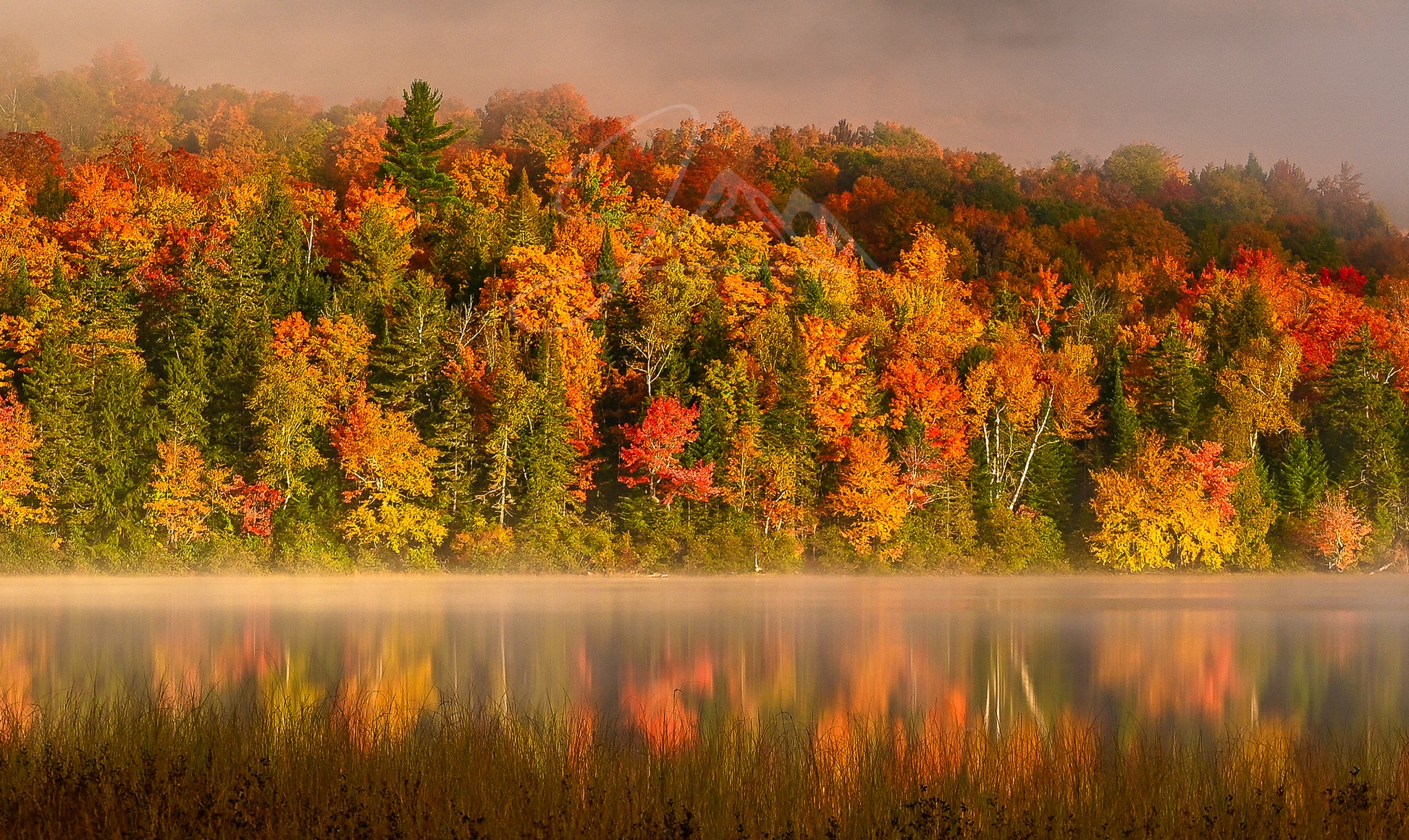 Print of Fall colors in the Adirondacks