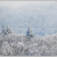 Photo Mouse Pad