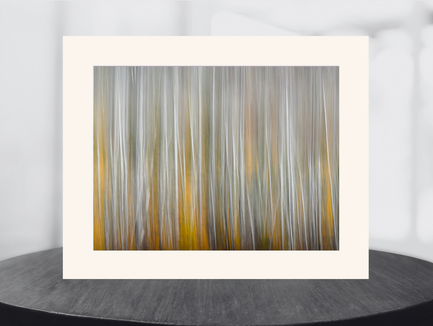 Abstract Autumn image of birch and tamarack trees in an adirondack forest