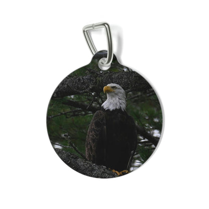 Pet Tag - American Eagle