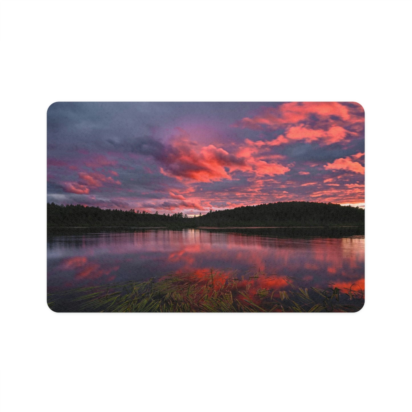Pet Food Mat - Reflections of Summer, Colby Lake