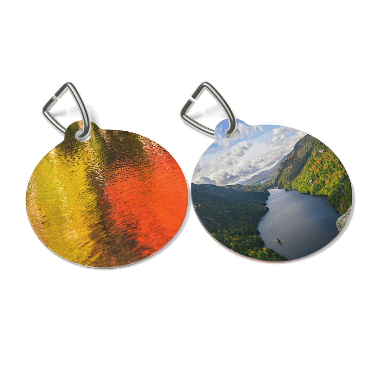 Pet Tag - Reflections of Autumn