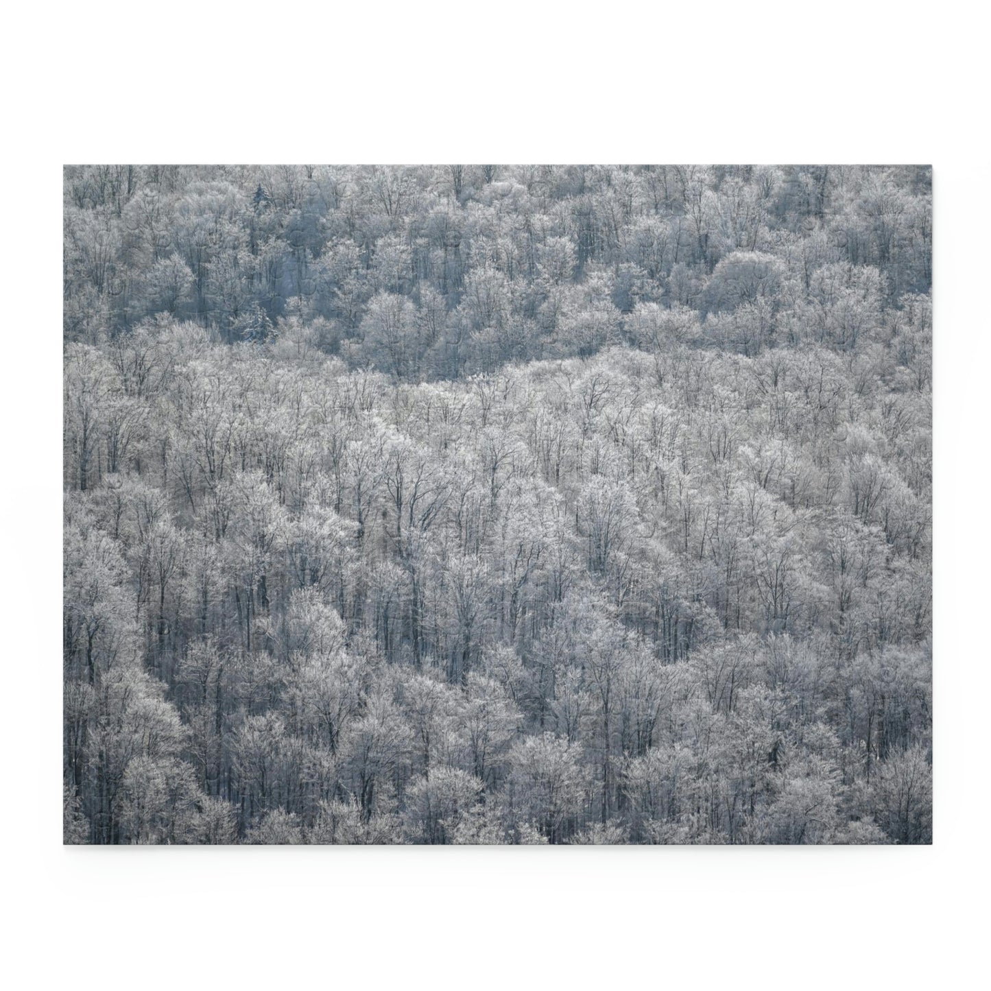 Puzzle - Frozen Trees