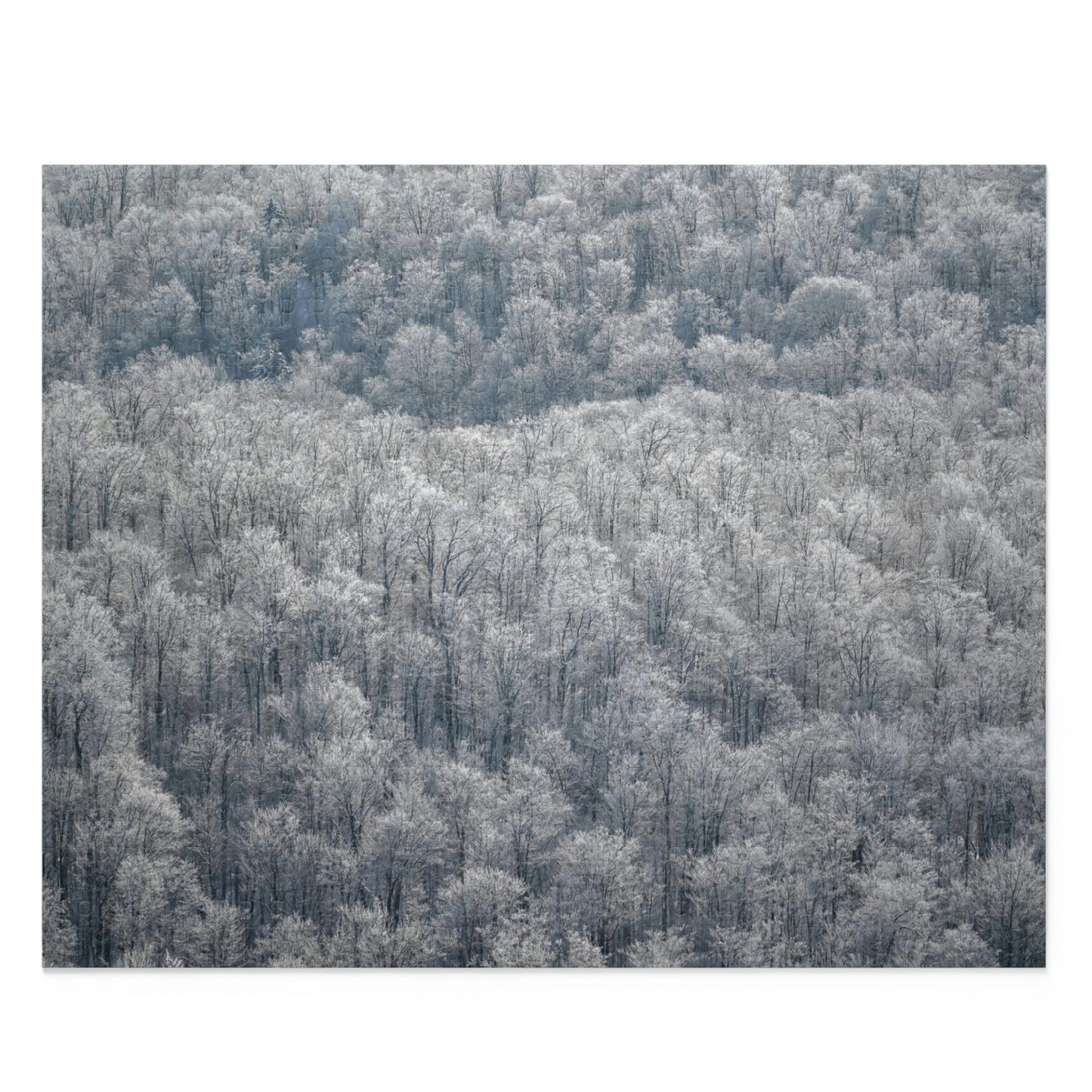 Puzzle - Frozen Trees